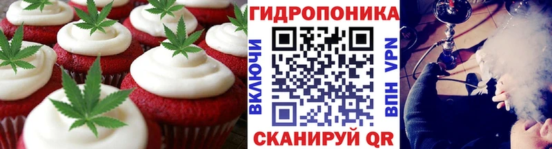 OMG как войти  Лесозаводск  Cannafood марихуана 