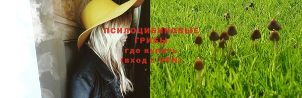 твердый Абинск