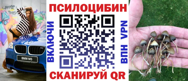 Галлюциногенные грибы мухоморы Лесозаводск