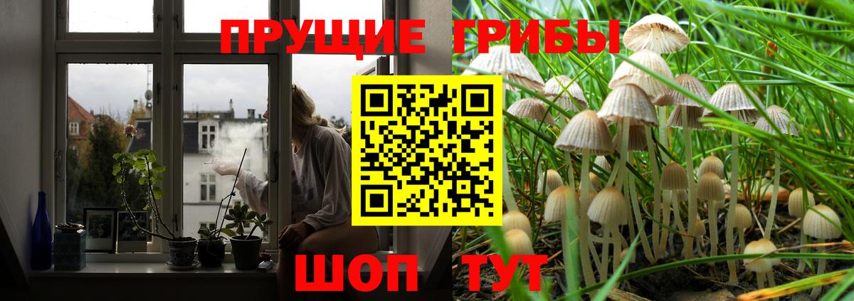 Галлюциногенные грибы мухоморы  Вход с VPN  Галлюциногенные грибы Cubensis  Лесозаводск 